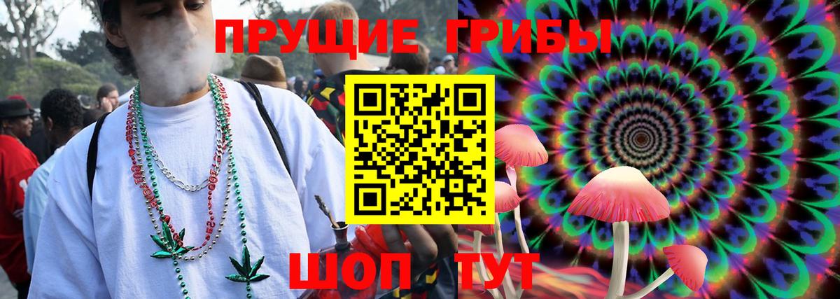 Галлюциногенные грибы Psilocybe Урюпинск